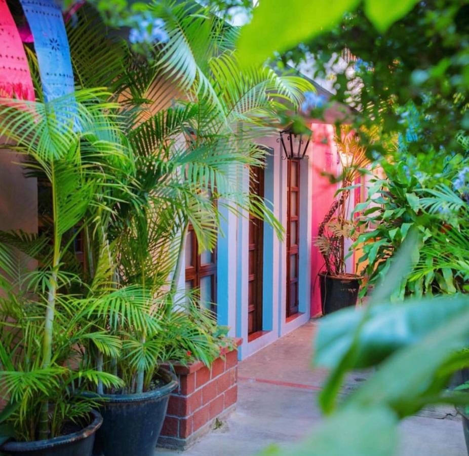 Hotel Las Golondrinas Oaxaca Exteriör bild