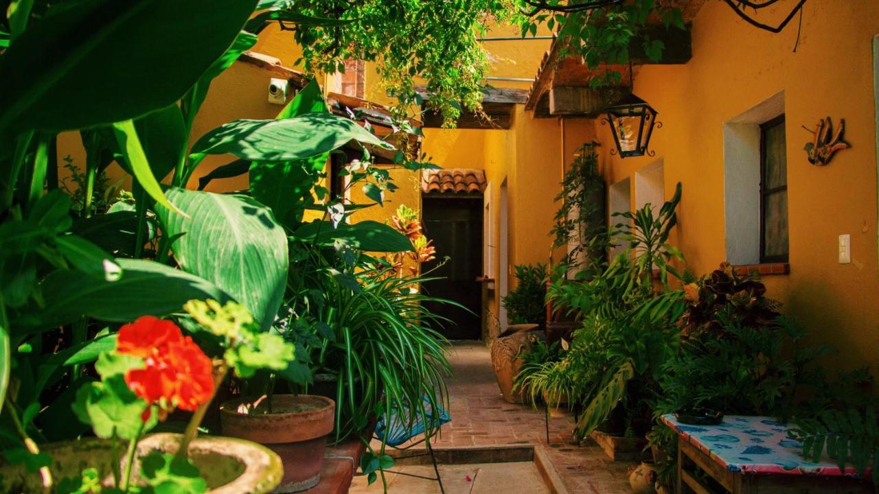 Hotel Las Golondrinas Oaxaca Exteriör bild