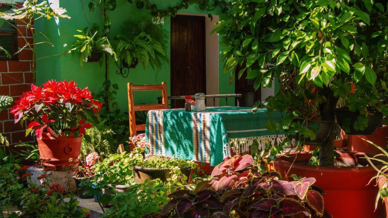 Hotel Las Golondrinas Oaxaca Exteriör bild