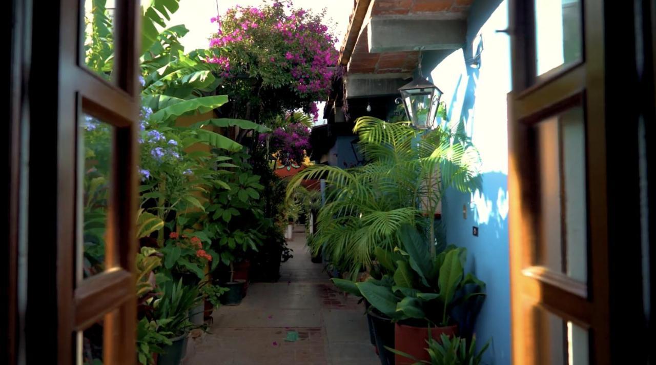 Hotel Las Golondrinas Oaxaca Exteriör bild