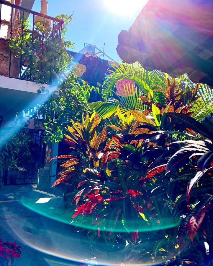 Hotel Las Golondrinas Oaxaca Exteriör bild