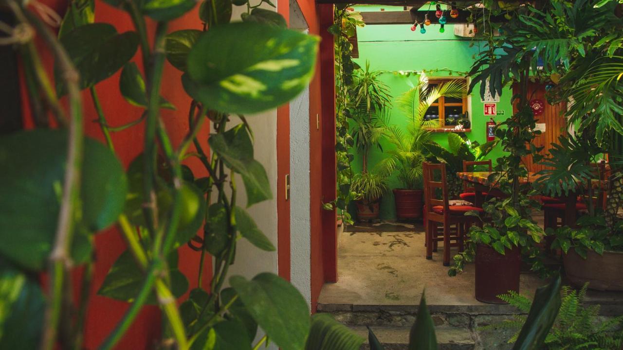 Hotel Las Golondrinas Oaxaca Exteriör bild