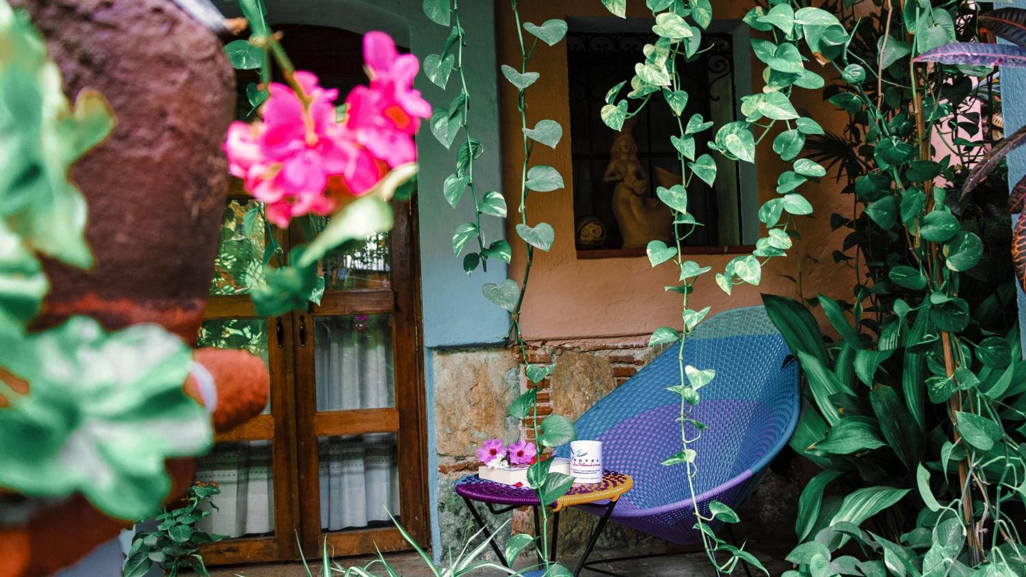 Hotel Las Golondrinas Oaxaca Exteriör bild