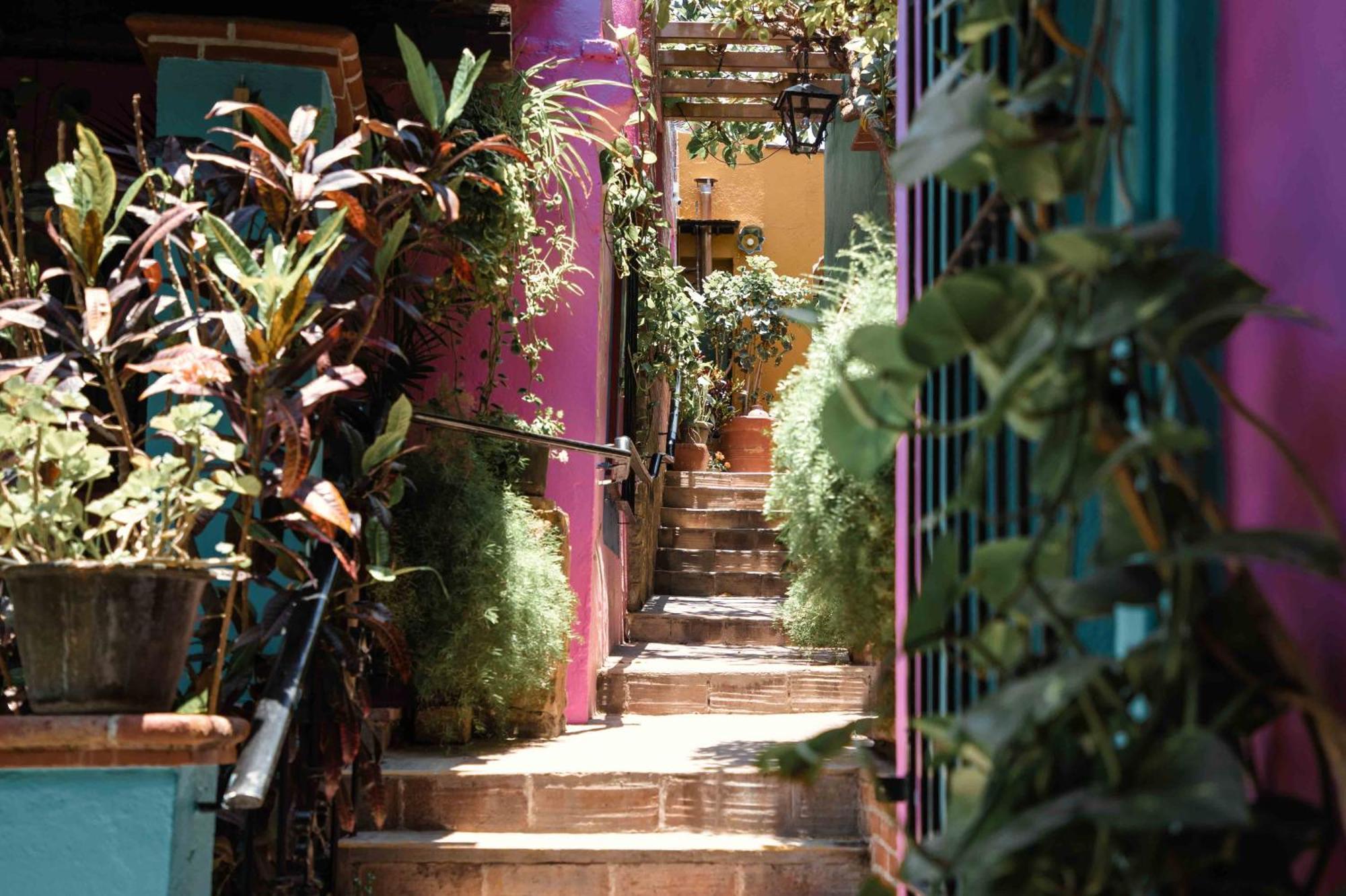Hotel Las Golondrinas Oaxaca Exteriör bild