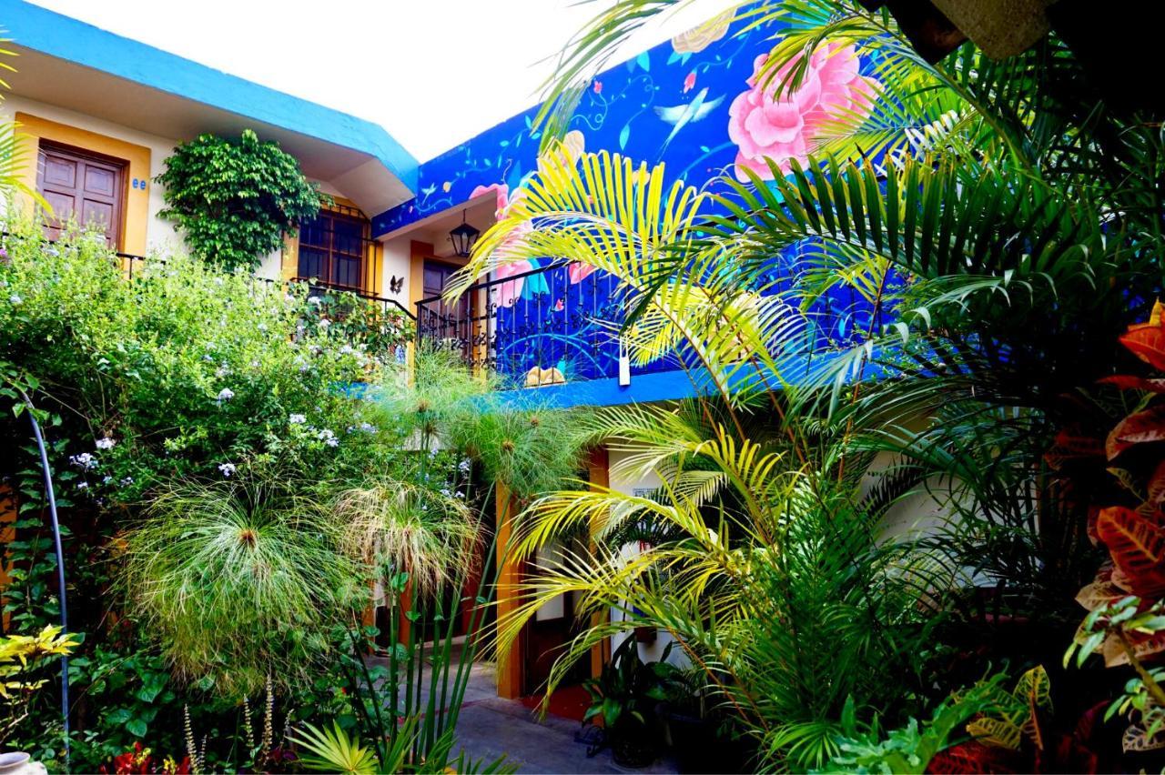 Hotel Las Golondrinas Oaxaca Exteriör bild