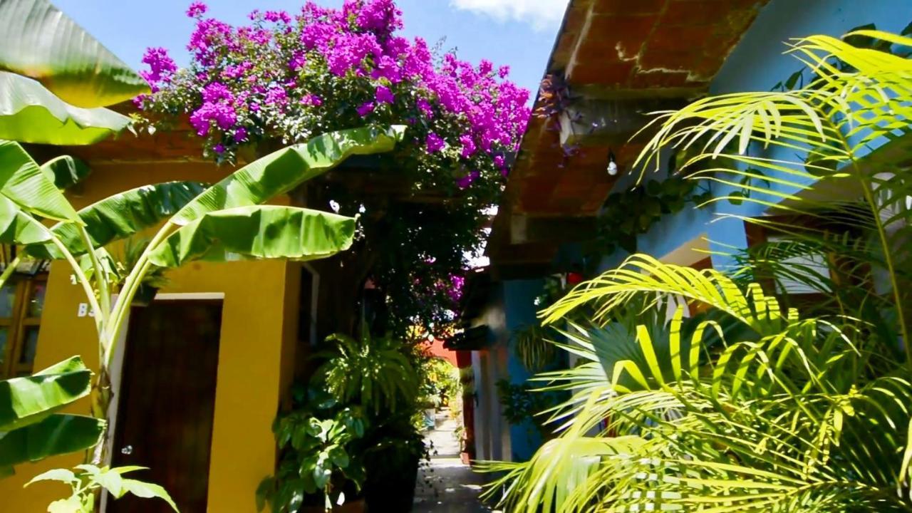 Hotel Las Golondrinas Oaxaca Exteriör bild