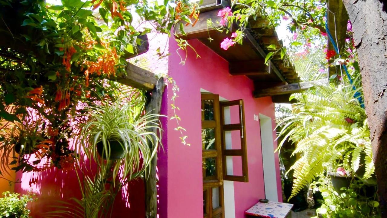 Hotel Las Golondrinas Oaxaca Exteriör bild
