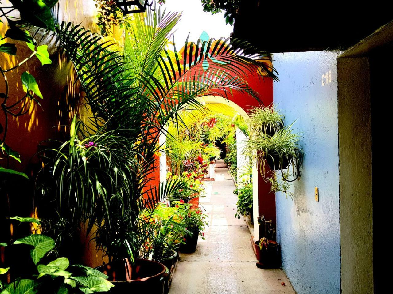 Hotel Las Golondrinas Oaxaca Exteriör bild